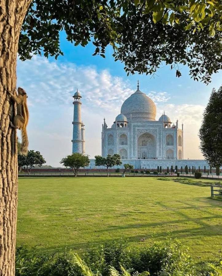 Zigzag Homestay Agra  Zewnętrze zdjęcie